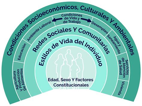 Diagrama que ilustra los factores interrelacionados que contribuyen a la obesidad.