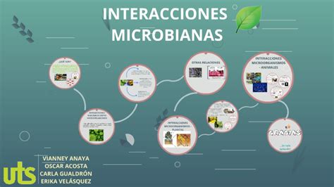 Ilustración de las interacciones microbianas y el ciclo del azufre en el intestino humano.