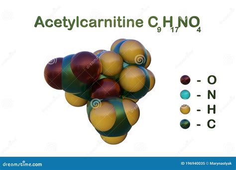 Ilustración molecular de Acetil-L-Carnitina