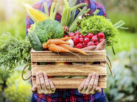 Infografía mostrando alimentos de temporada, de proximidad y naturales.
