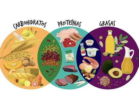 Ilustración mostrando los principales nutrientes y sus fuentes alimentarias relevantes para la colitis ulcerosa.