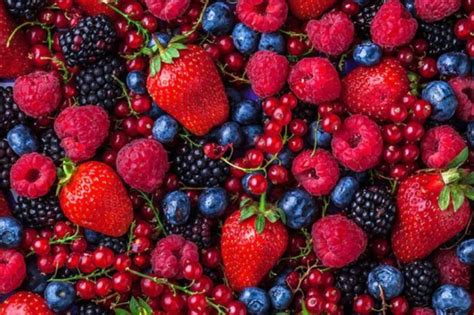 Frutos rojos frescos y deshidratados, mostrando la diferencia de tamaño y textura.