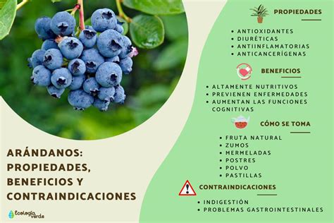 Infografía comparativa de los valores nutricionales de arándanos frescos vs. arándanos deshidratados.
