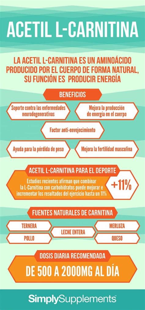 Infografía detallando el ciclo de la L-carnitina y su papel en la producción de energía celular.