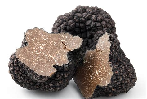 Fotografía macro de una trufa negra, mostrando su textura y color característicos.