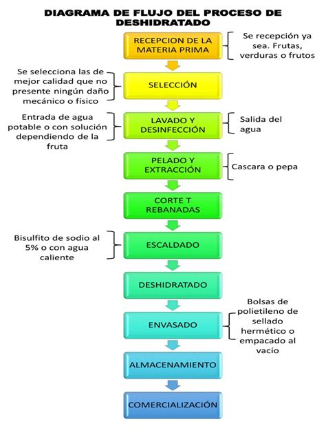 Diagrama ilustrando el proceso de deshidratación y pérdida de peso rápido.