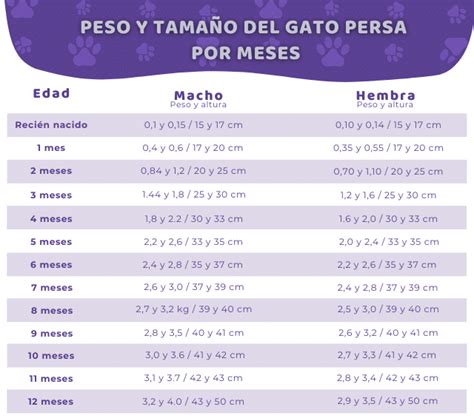 infografía detallando los pesos ideales por tamaño y raza de gato