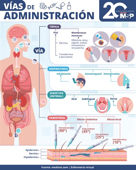 Esquema de las diferentes vías de administración de la ketamina y su duración de efectos.