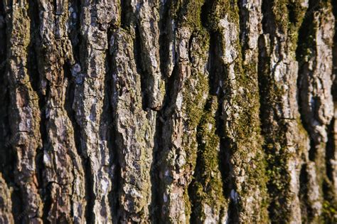 Primer plano de la textura de unas mallas anticelulíticas