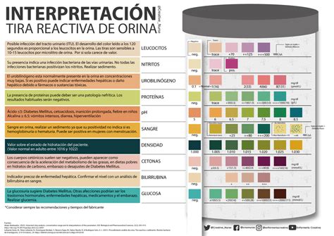 Gráfico detallado de colores para la interpretación de las tiras reactivas de cetonas en orina, mostrando diferentes niveles.