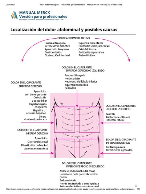 Gráfico explicativo de la anatomía abdominal y posibles causas de hinchazón.