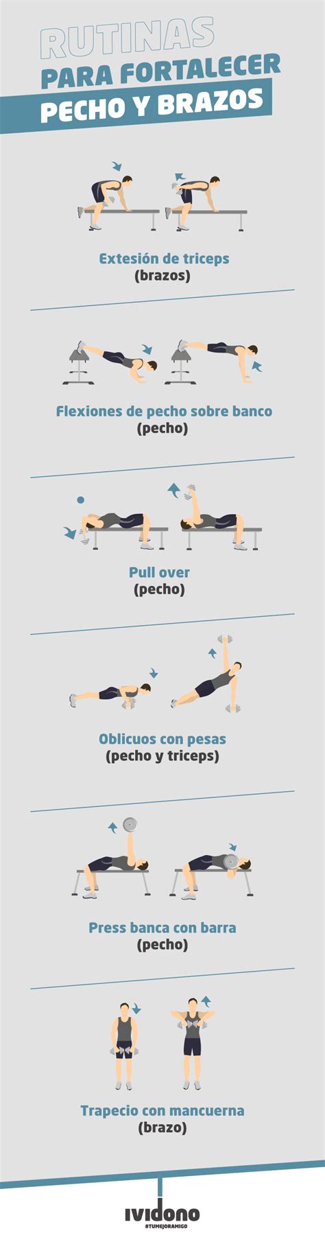 Ilustración detallada de los ejercicios de pecho y brazos, mostrando la técnica correcta.