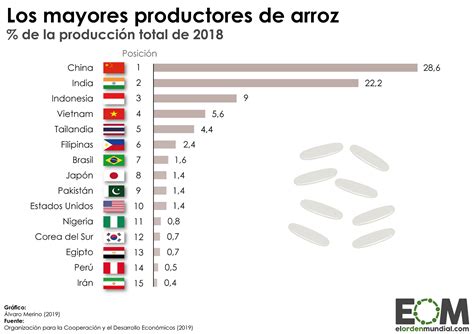 Mapa mundial mostrando los principales países productores y consumidores de arroz.