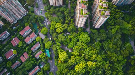 Fotografía aérea de una ciudad mostrando la densidad de edificaciones y la escasez de áreas verdes.