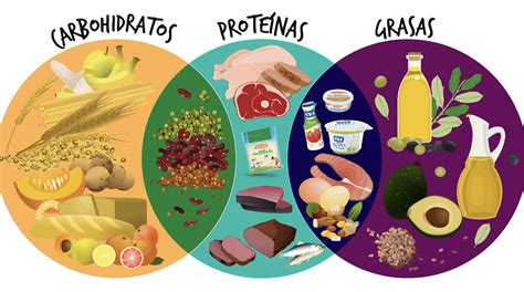 Infografía comparativa de la saciedad de diferentes macronutrientes (proteínas, carbohidratos, grasas)