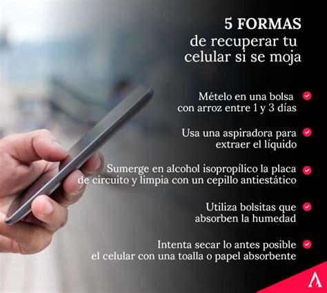 Infografía sobre cómo actuar si tu smartphone se moja