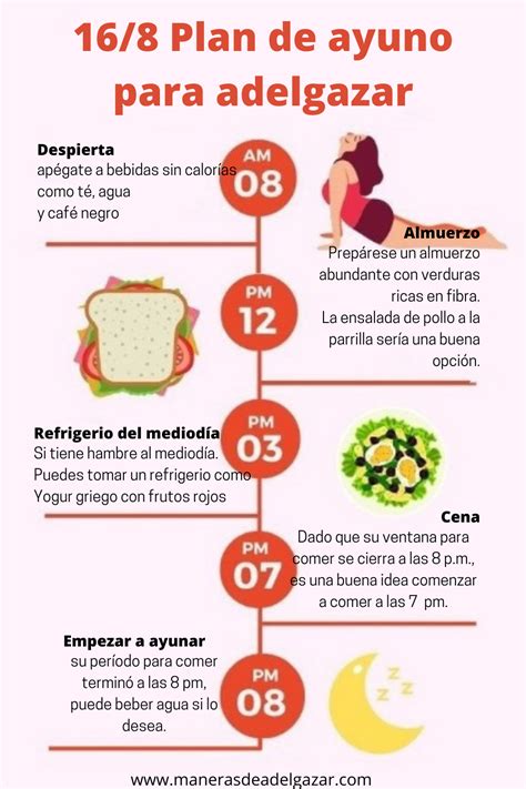 Diagrama ilustrando el método 16:8 de ayuno intermitente, mostrando 16 horas de ayuno y 8 horas de ventana de alimentación.