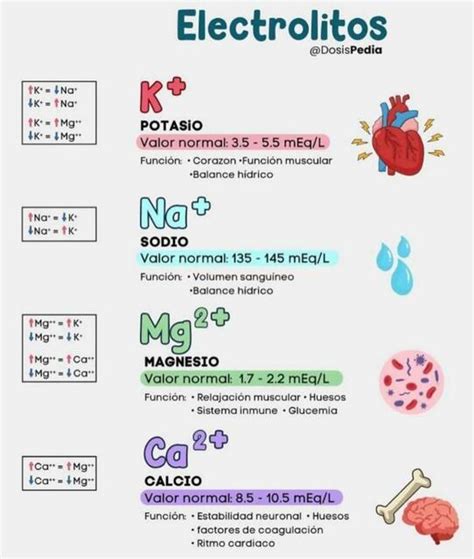 tabla comparativa de electrolitos clave y su función en el cuerpo durante el ejercicio