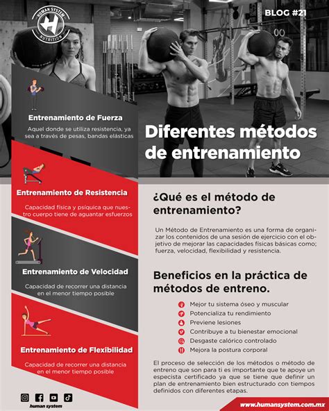 Infografía comparativa de métodos de entrenamiento de volumen muscular.