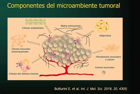 representación del microambiente tumoral y la interacción con células inmunes