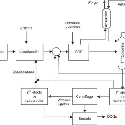 Esquema del proceso de obtención de glicerol a partir de triglicéridos.