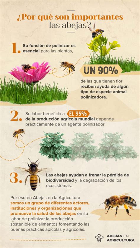 infografía sobre el porcentaje de alimentos que dependen de la polinización de las abejas