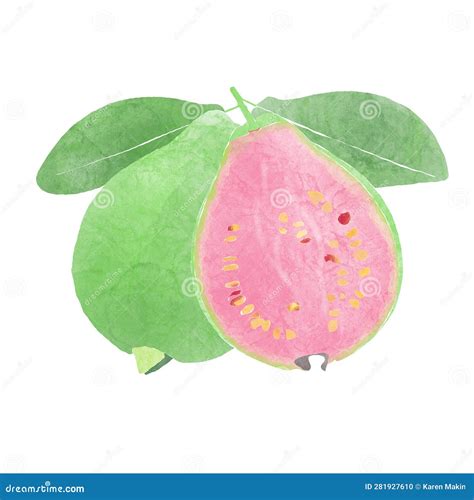 Ilustración de guayabas frescas y un bocadillo de guayaba abierto para mostrar su textura.