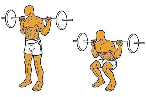 Esquema detallado de la ejecución correcta de la sentadilla trasera (back squat).