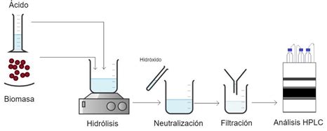 Ilustración mostrando el proceso de hidrólisis de la proteína de suero.