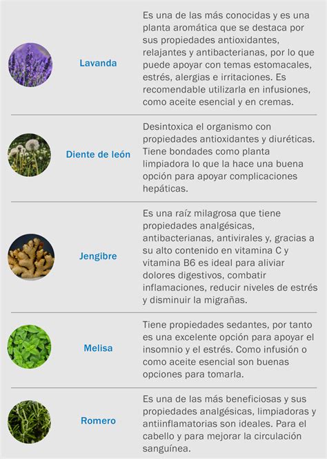 Tabla comparativa de plantas medicinales, sus usos, beneficios y contraindicaciones