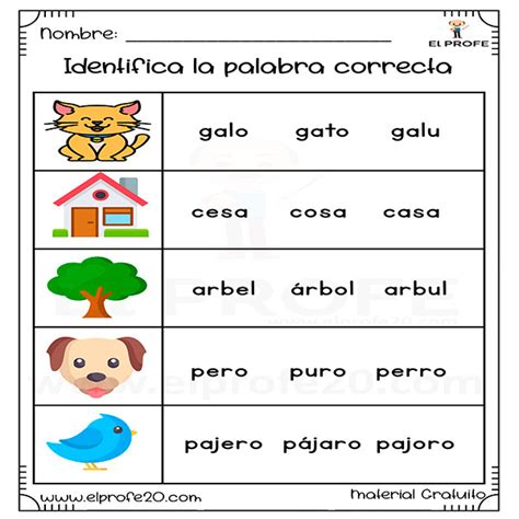 collage de imágenes mostrando la ejecución correcta de varios ejercicios de core