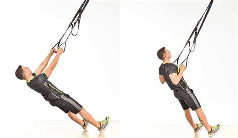 esquema de ejercicios de espalda con TRX