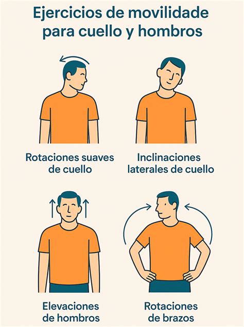 infografía con ejercicios de movilidad espinal