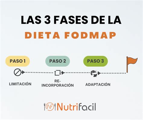 Diagrama de flujo que ilustra las tres fases de la dieta baja en FODMAP: Eliminación, Reintroducción y Personalización.
