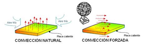 esquema ilustrando la circulación de fluidos en la convección natural y forzada