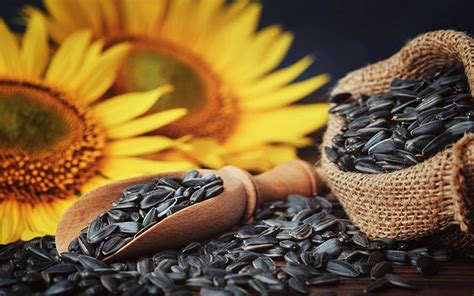 collage de fotos mostrando diferentes formas de usar pipas de girasol en la cocina: ensaladas, panes, snacks