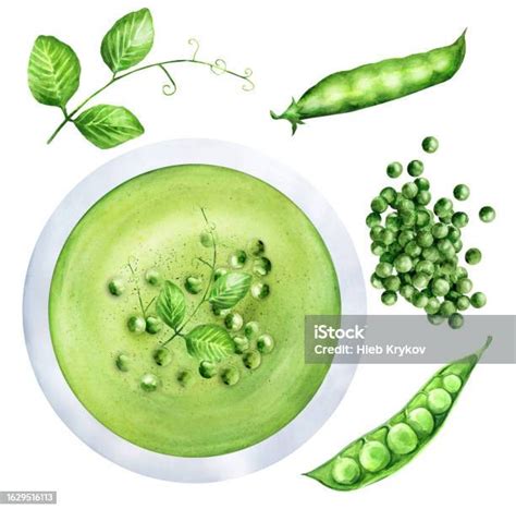 Ilustración de brotes de guisantes frescos y tiernos