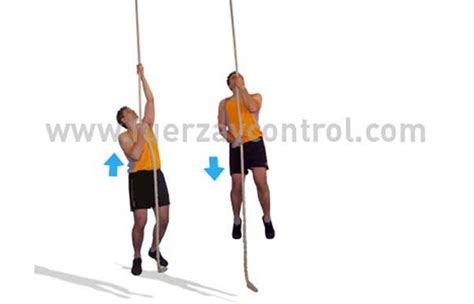 Ilustración de un bombero realizando trepa de cuerda y ejercicios de fuerza.