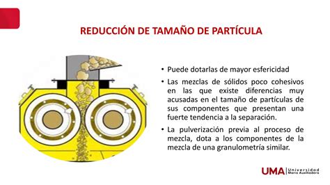 Esquema que muestra la reducción del tamaño de los tumores en modelos preclínicos tras incrementar los niveles de miR-7.
