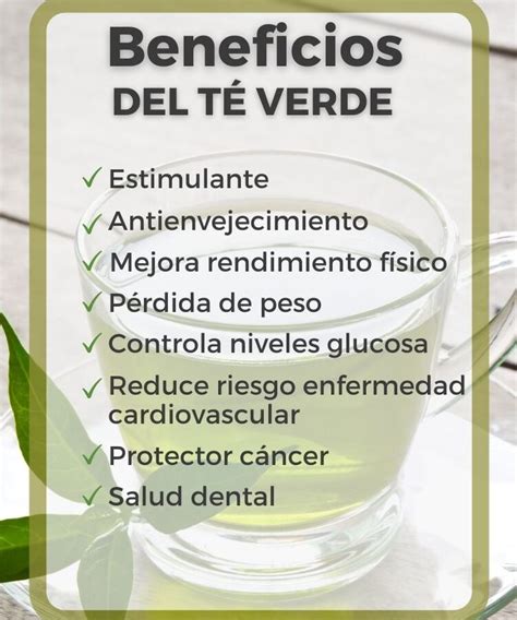 Infografía sobre los beneficios del té verde para el metabolismo y la quema de grasas.