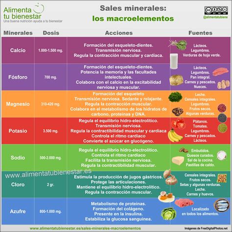 Tabla de nutrientes esenciales para la masa muscular y sus fuentes alimentarias.