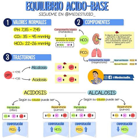Diagrama ilustrando el desequilibrio ácido-base en pollos bajo estrés calórico y cómo el bicarbonato de sodio ayuda a regularlo.