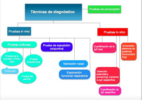 Esquema de las diferentes técnicas de liposucción