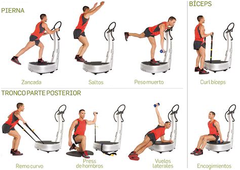 infografía comparativa de beneficios de plataformas vibratorias vs. ejercicio tradicional