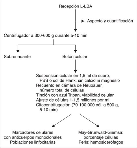 Esquema del procedimiento de lavado broncoalveolar.