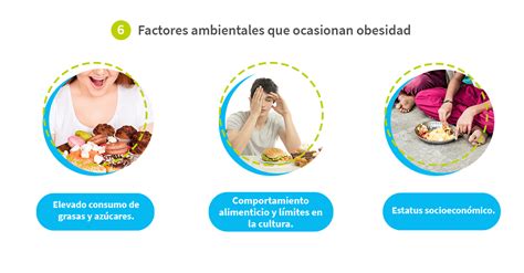 Infografía que detalla los factores genéticos, ambientales y conductuales que contribuyen al desarrollo de la obesidad.