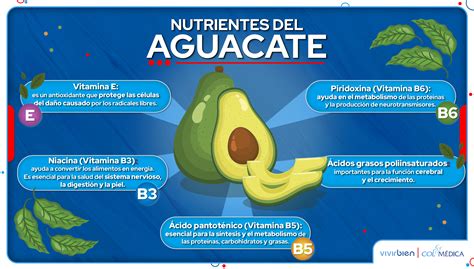 Diagrama: nutrientes del aguacate (magnesio, folato, grasas saludables) y su relación con la mejora del sueño.