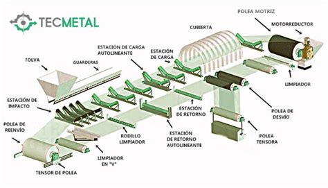 Infografía detallando las partes de una faja de entrenamiento y sus beneficios.