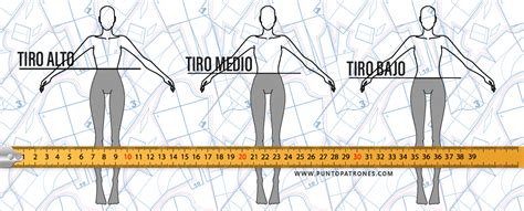 Ilustración comparativa de diferentes tipos de culottes (tiro alto, medio, bajo) y sus características.