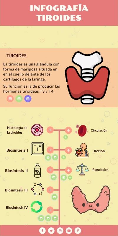 Infografía: Nutrientes esenciales para la glándula tiroides